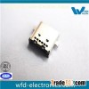 DIP0.8 Female USB Type C (P/N: USB-F0512-S5503)