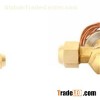 WTV-H Series Temperature Responsive Expansion Valves