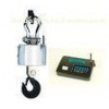 CE Approval Digital Wireless Crane Scale with Indicator High temperature resistant 2T 5Ton 30T