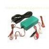 Intelligent NIMH NICD Battery Charger 24V , MCU And AC