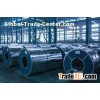 DIN EN10203/JIS G3303 0.18mm-0.50mm Thickness T3-T4 Tin Plate Coil