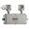 explosion-proof double-headed emergency light