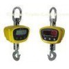 LED Display Aluminum Digital Crane Scales / Wireless Hanging Crane Balance Precision
