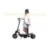 Two wheel EVO E Scooter 48V ,  Mini Electric Scooter 1000w , 800W , 500W ( CE )