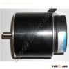 BLDC Servo Motor 42BLYS