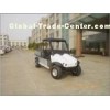 golf car with cargo box