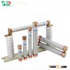 RN1 Indoor Current - Limiting Fuse