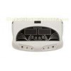 Ant Oxidation Chinese Detox Ionic Foot Spa with Dual Working System