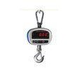 300kg Digital Hanging Weight Scale / Electronic Crane Balance for Food or Medical