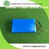 Long Cycle Life 5Ah Lithium Polymer Battery For Electric Scooter