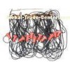Geophone String