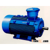 three phase induction motors YB2-H Series Explosion-safe