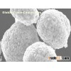 NCM High Capacity  WL-S05