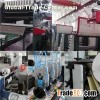 Inline Die Cutting