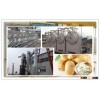 potato starch production machinery
