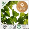 Ginkgo Biloba Extract