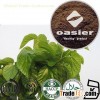 Mulberry Leaf Extract