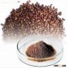 Grape Seed Extract