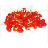 Ningxia Goji Berry Wolfberry Lycium Chinese Berries
