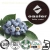 Blueberry Fruit Powder