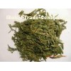 Professional Healthy Loose Leaf Longjing Green Tea Lung Ching Tea From Zhejiang