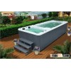 cost of a swim spa SRP650