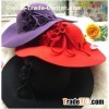ladies wide brim fashion hat