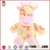 Colorful Attractive Giraffe