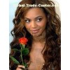 Celebrity lace wigs Rebecca