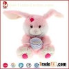 Cute Rabbit With An Egg