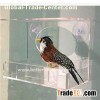 Bird Cage Tray
