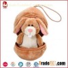 Cute Rabbit In An Egg