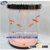 Acrylic Fish Tank