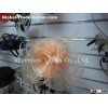 YRFC13041 fascinator,headpiece,headband