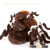Lint Pet Spider Toys