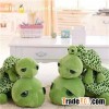 Lint Pet Tortoise Toys