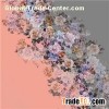 Digital Print Silk Shawl Manufacturer