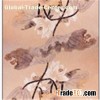 100% Silk Digital Print Long Scarves (dl13001)