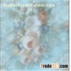 Pure Silk Digital Print Long Scarves(dl13002)