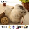 Plush Winter Indoor Snow Boots