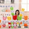 Fruit Rabbit Toys