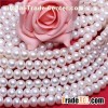 Huge Pearl Bead 12-13mm Fresh Water Big Button Genuine Natural Real Oblate Pearl Necklaces Cheap For