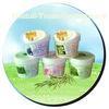 Herbal Anti-Aging Face Mask