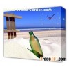 Wholesale Canvas Prints