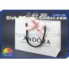 Luxury Ribbon Fancy Paper Custom Paper Shopping Bags for Jewellery Packaging