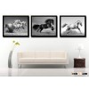 Abstract Animal Canvas Prints