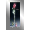 Roll Up Stand AD-R-2