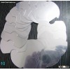 Silver Planed Film