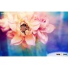 Elegant and Magnificent Flowers Canvas Printing