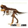 Fossil Replica Tyrannosaurus